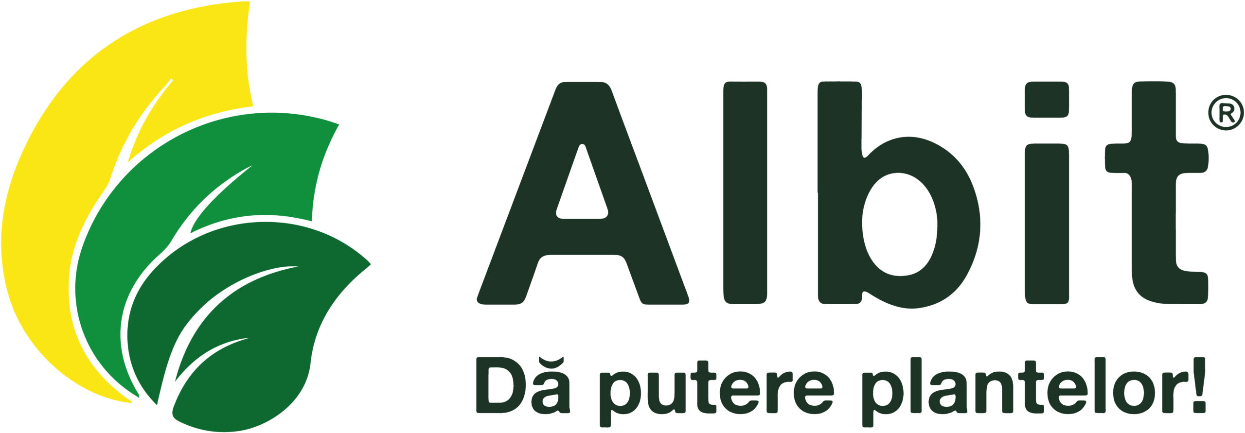 Albit -logo mare